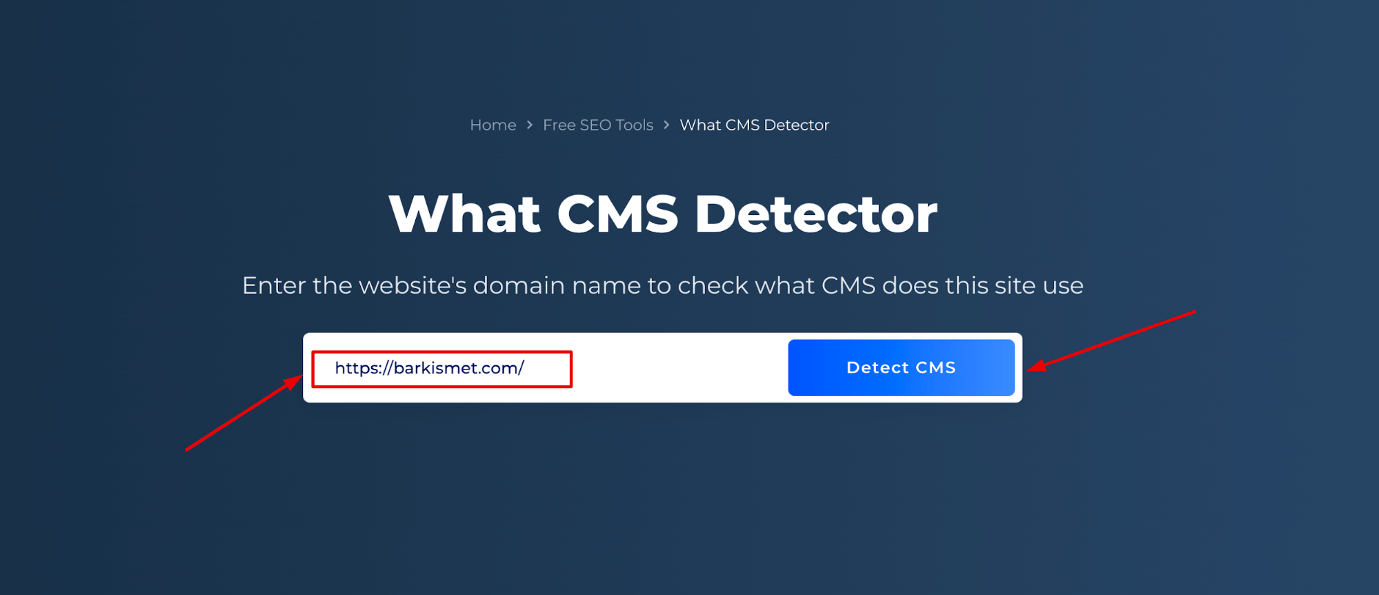 CMS Dedektörü