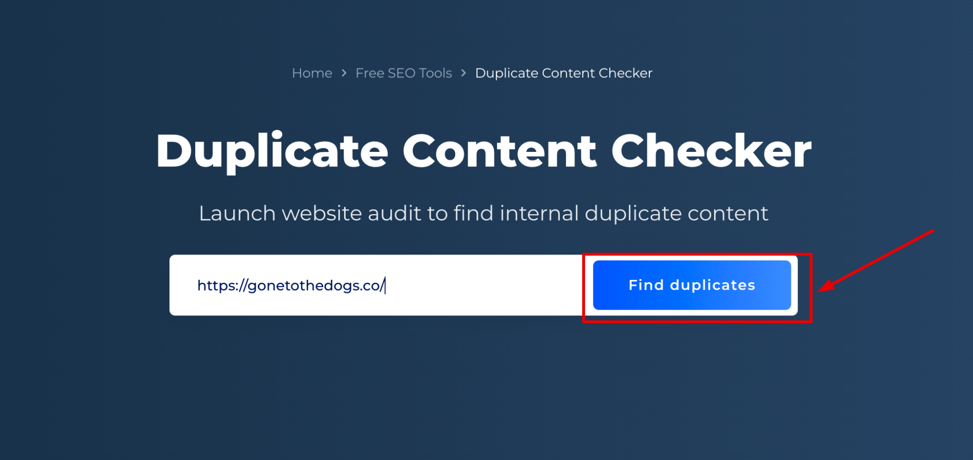 Duplicate Content Checker