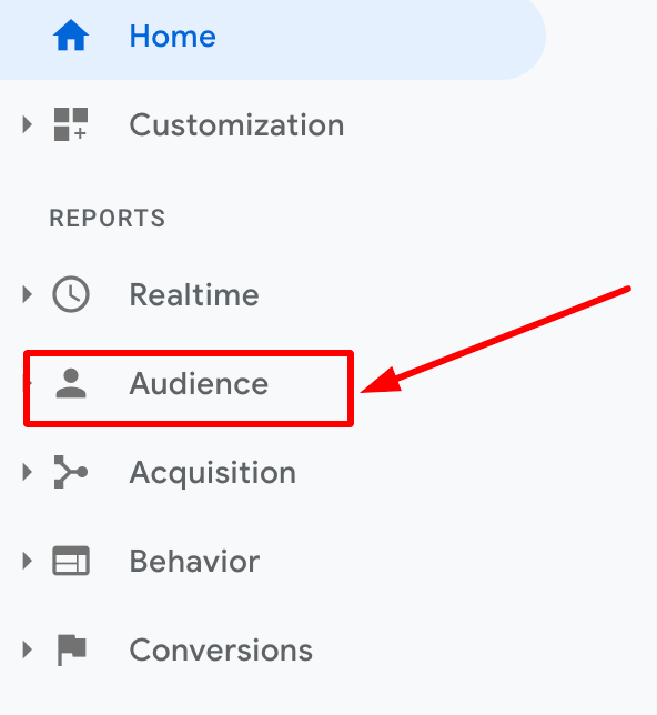 Google Analytics Audience