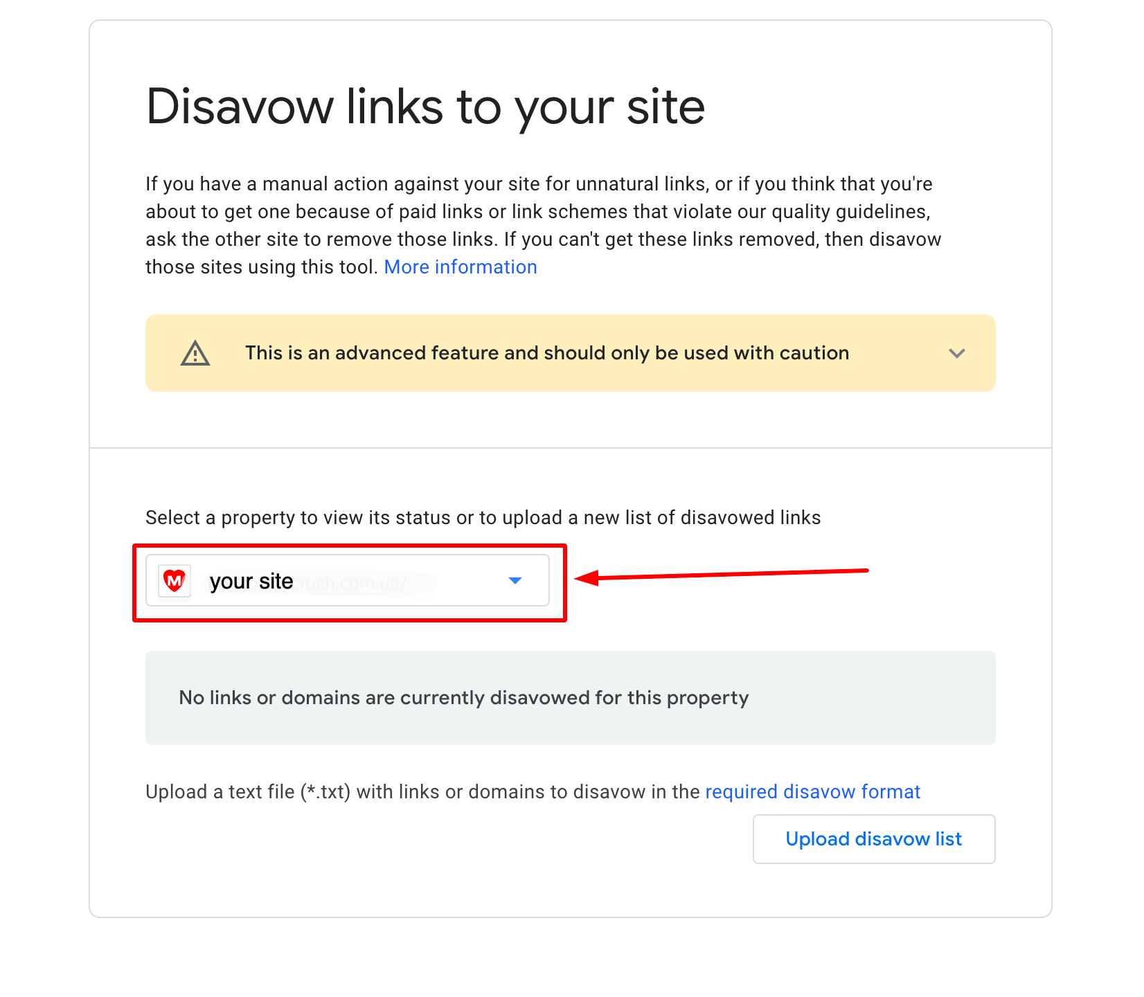 Search Console Access