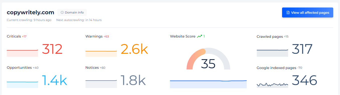 site audit result