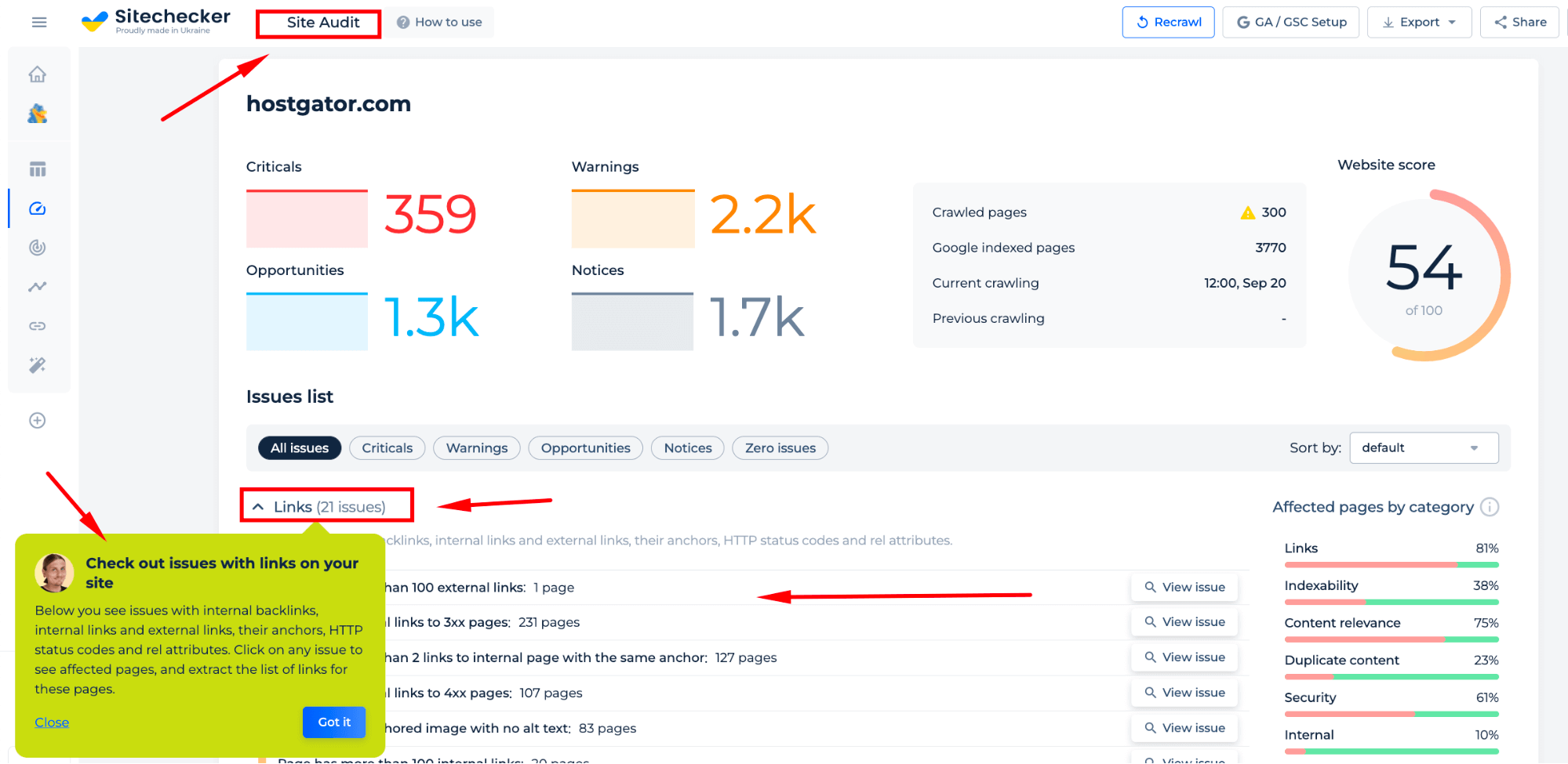 Site Audit Results